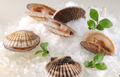 爆料海鲜扇贝的做法视频,视频教学,轻松学会美味扇贝烹饪技巧 第1张 爆料海鲜扇贝的做法视频,视频教学,轻松学会美味扇贝烹饪技巧 第1张