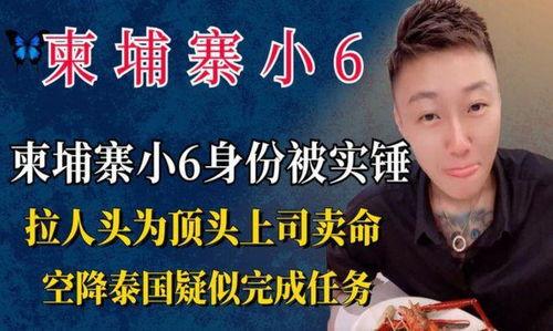 柬埔寨小六最新爆料信息,揭秘神秘事件背后的惊人真相
